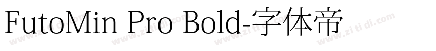 FutoMin Pro Bold字体转换